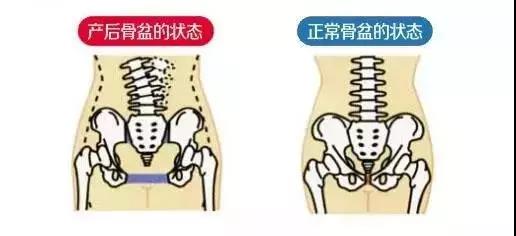 ڲ޸