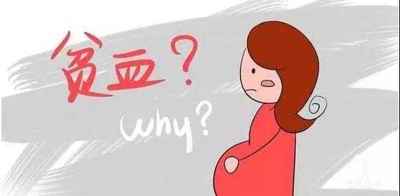 ڲָļҺã