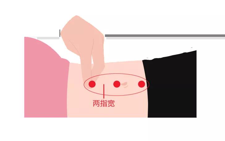 ֱ޸