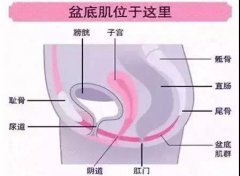 ޸ VS ׼޸Ǹѡ