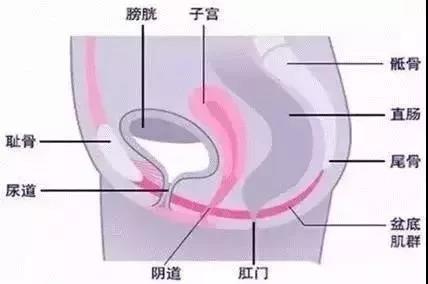 ޸